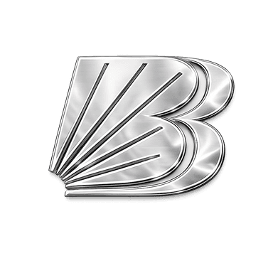 Client logo 29